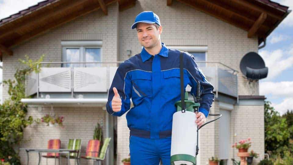 הדברה לבנייני מגורים מרובי יחידות