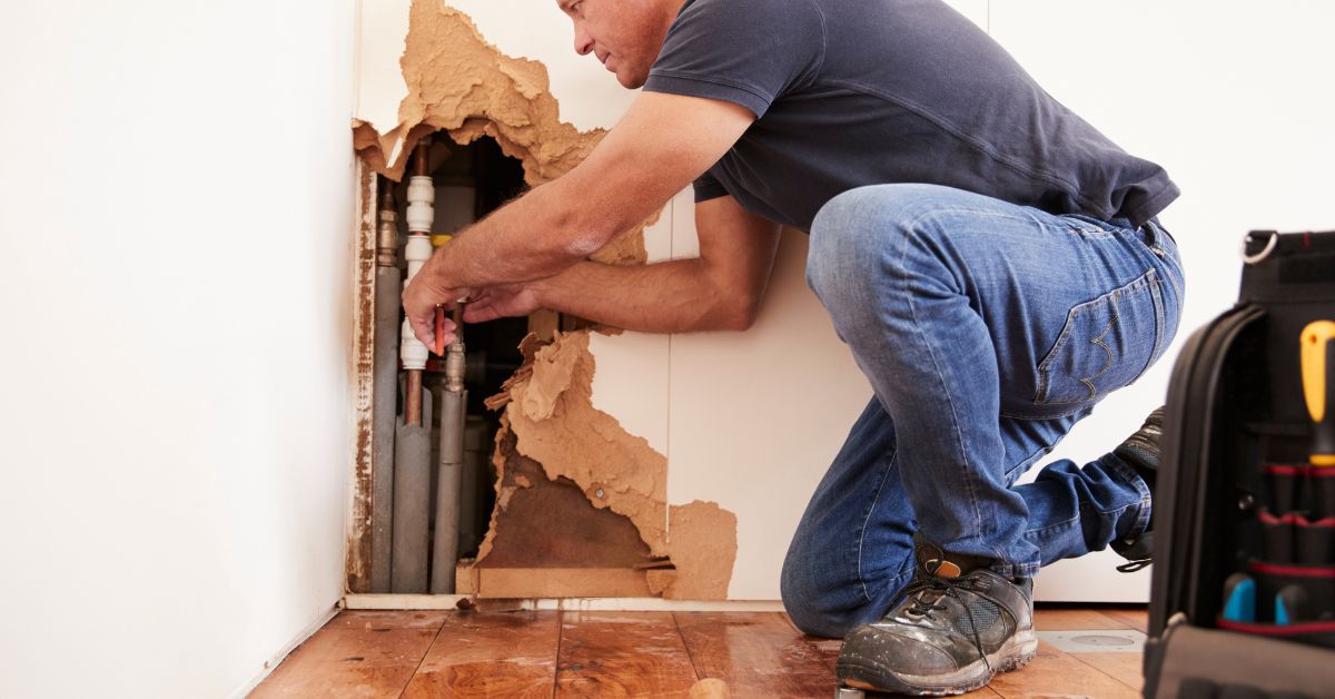 שיקום מקצועי של נזקי מים